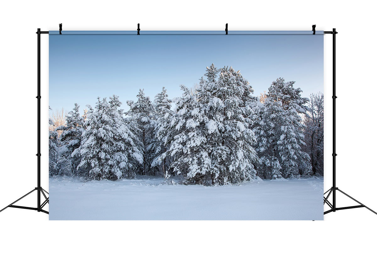 Winter Fotokulissen Immergrüne Bäume Schnee Kulisse BRP11-9