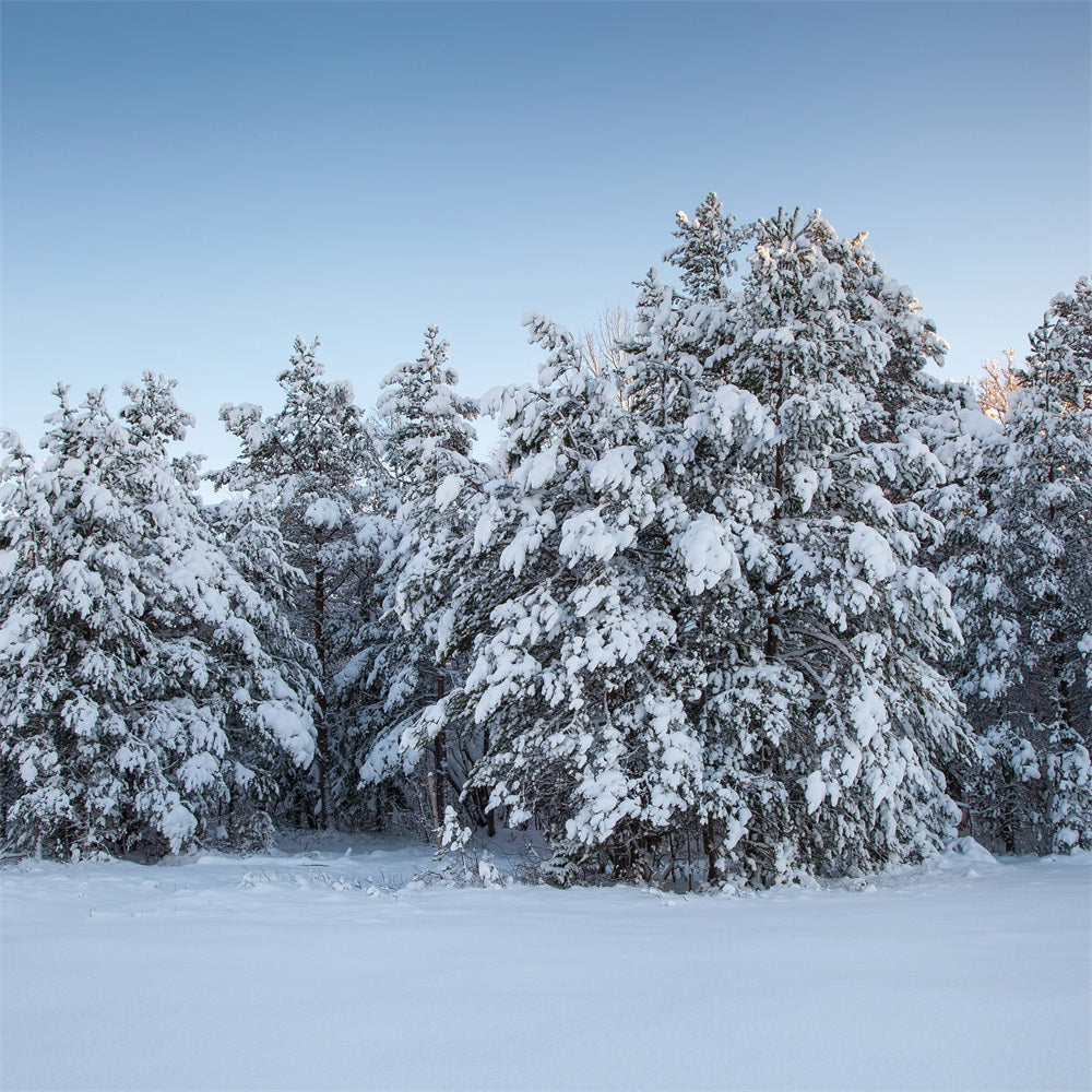 Winter Fotokulissen Immergrüne Bäume Schnee Kulisse BRP11-9