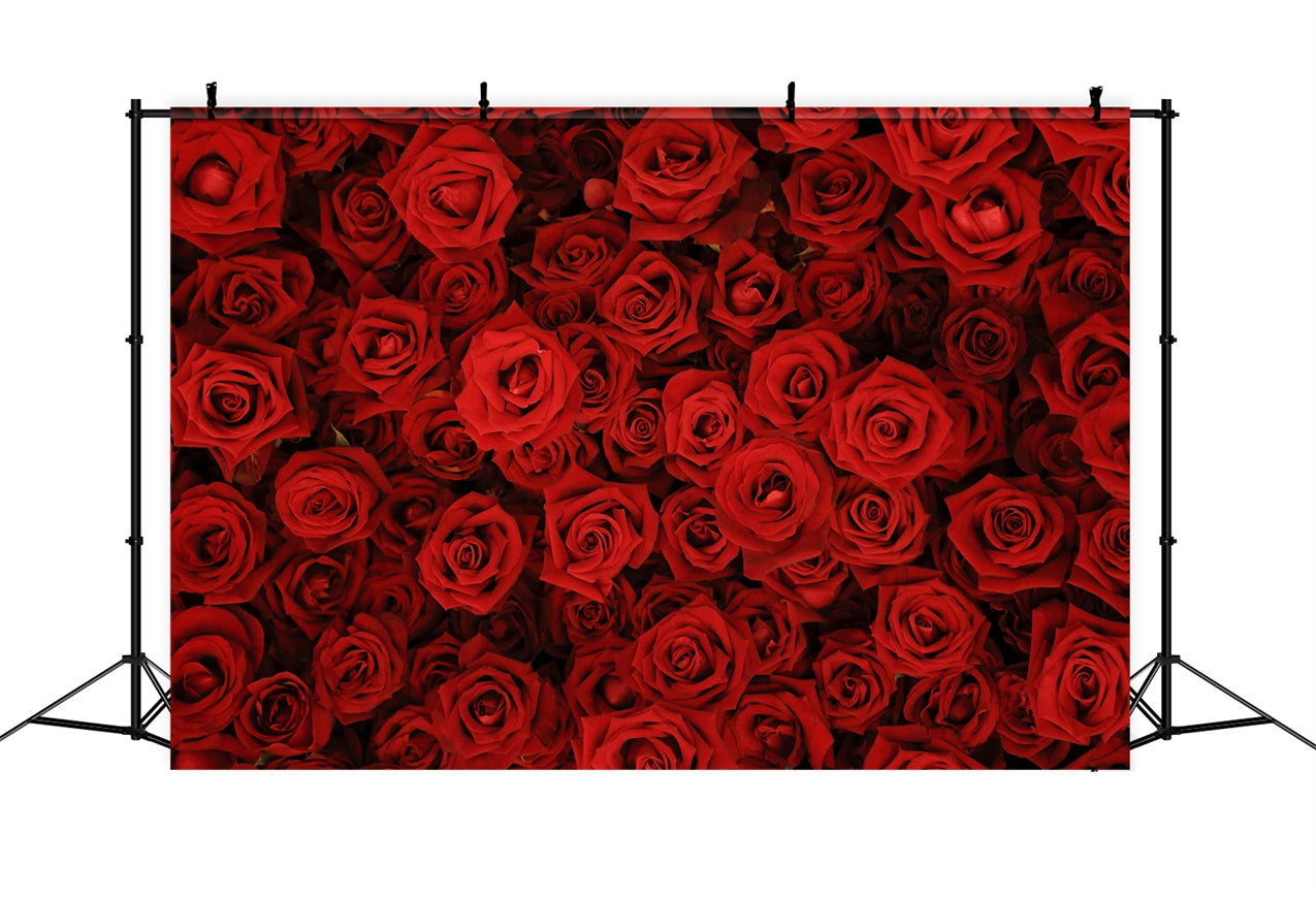 Hintergrund Hochzeiten Rote Rose Floral Wand Fotohintergrund BRP12-384