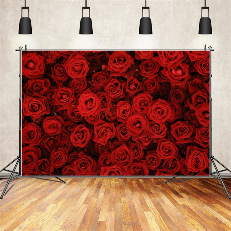 Hintergrund Hochzeiten Rote Rose Floral Wand Fotohintergrund BRP12-384