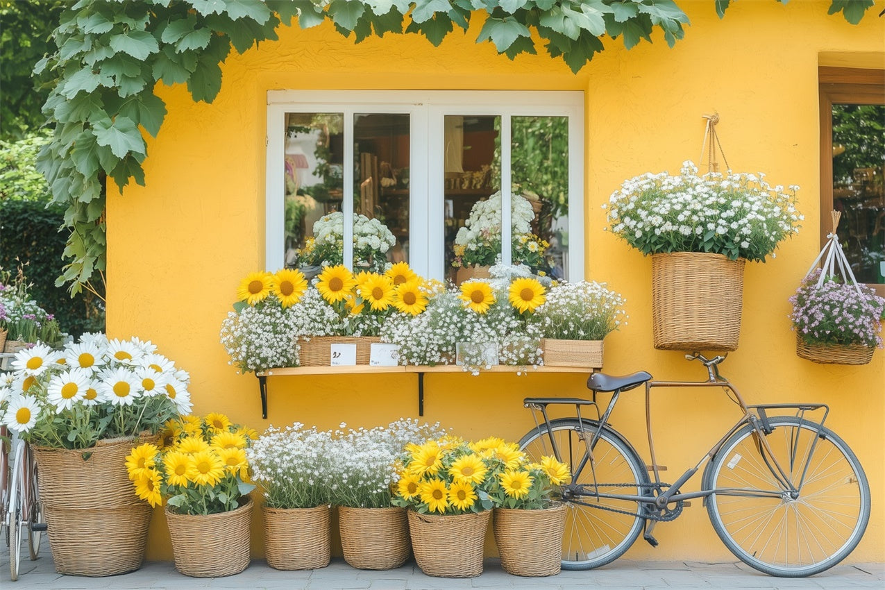 Frühling Fotohintergrund Blumen Lebendiges Gänseblümchen Fahrradhintergrund BRP12-494