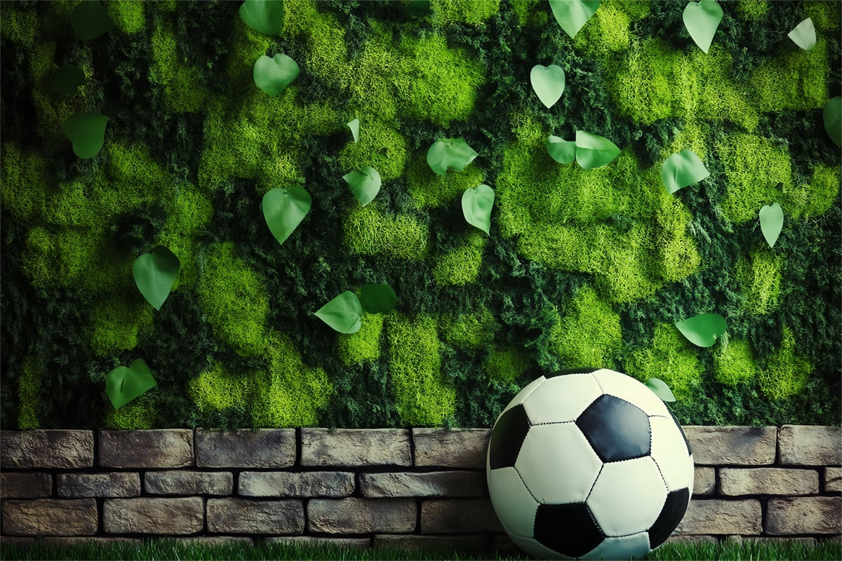 Fußball-Fotohintergrund Mooswand Fußball-Hintergrund BRP57-296