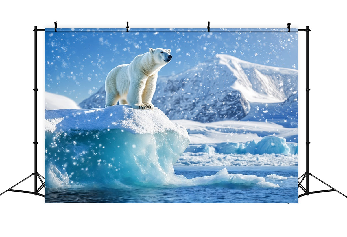 Schnee Backdrop Eisbär Majestät Eisberg Foto Hintergrund BRP57-384