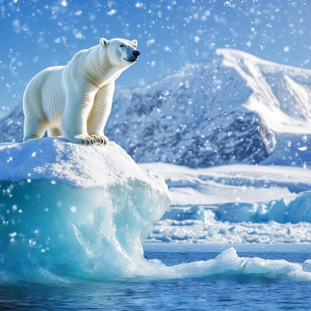 Schnee Backdrop Eisbär Majestät Eisberg Foto Hintergrund BRP57-384