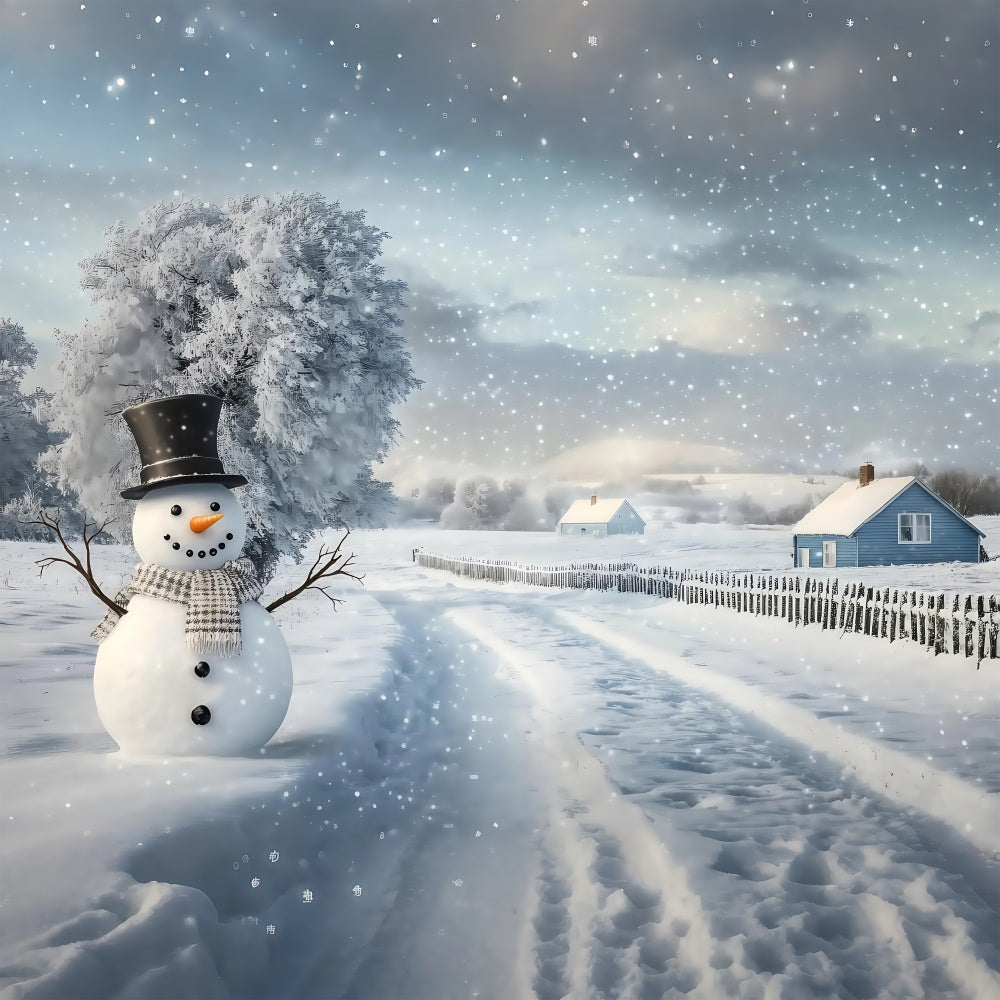 Winter Snow Backdrop Serene Path Snowman Foto Hintergrund BRP57-389