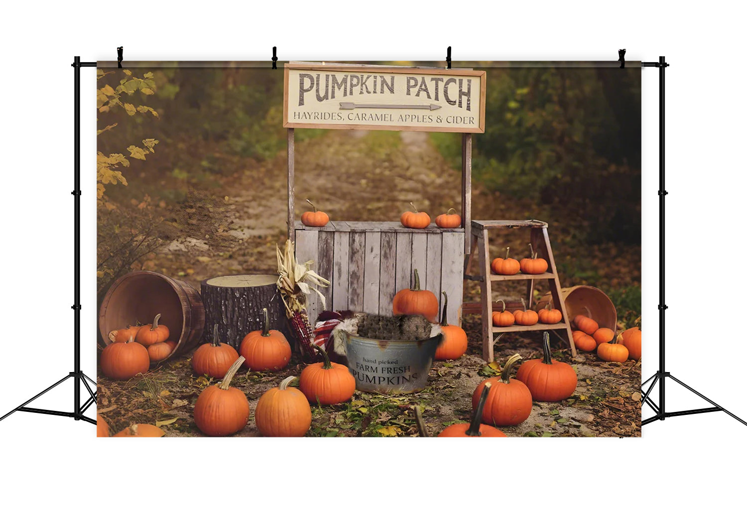 Kürbis Stand Herbst Fotografie Hintergrund BRP7-120