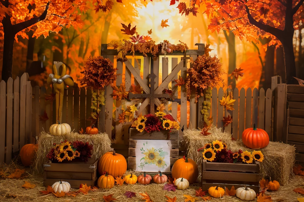 Herbst Ahorn Wald Zaun mit Kürbis Hintergrund BRP7-135