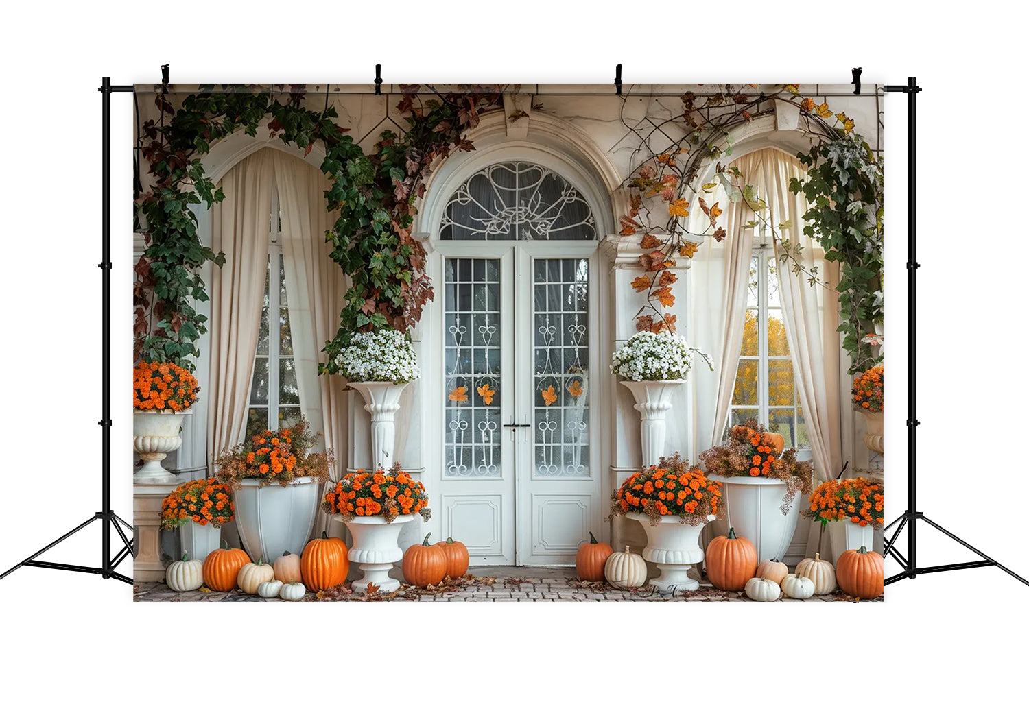 Herbst Kürbis Weiß Bogen Tür Hintergrund BRP7-139