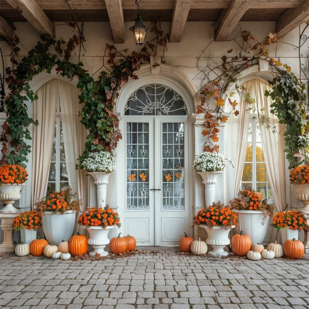 Herbst Kürbis Weiß Bogen Tür Hintergrund BRP7-139