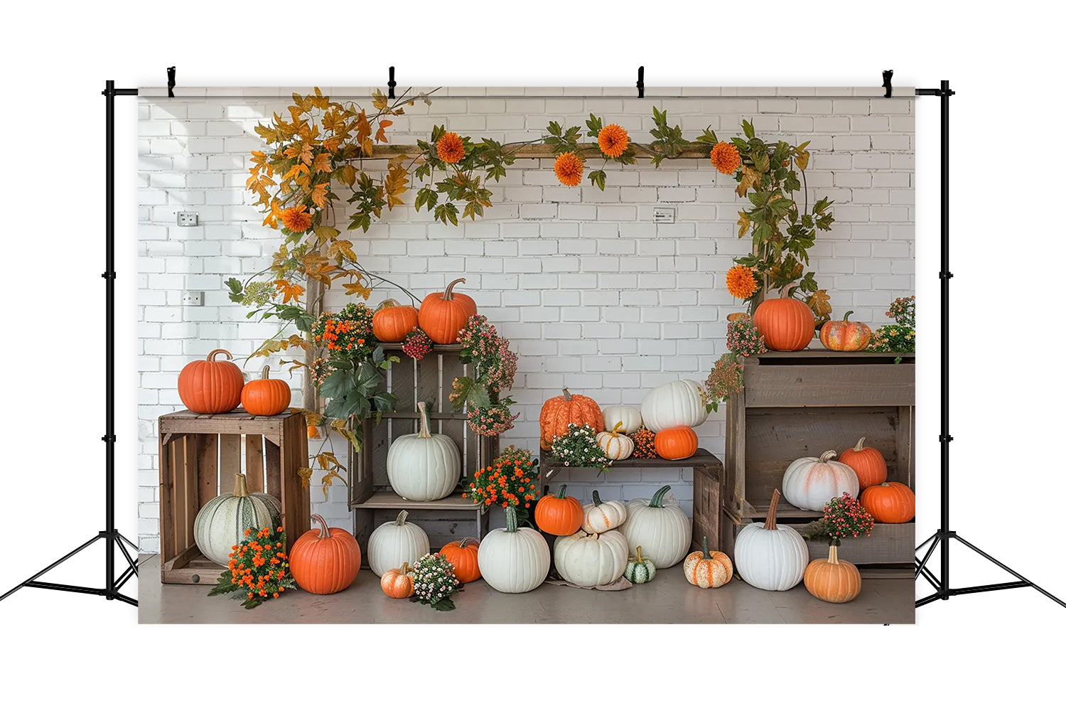 Herbst Kürbis Regal Weiße Wand Fotografie Hintergrund BRP7-141
