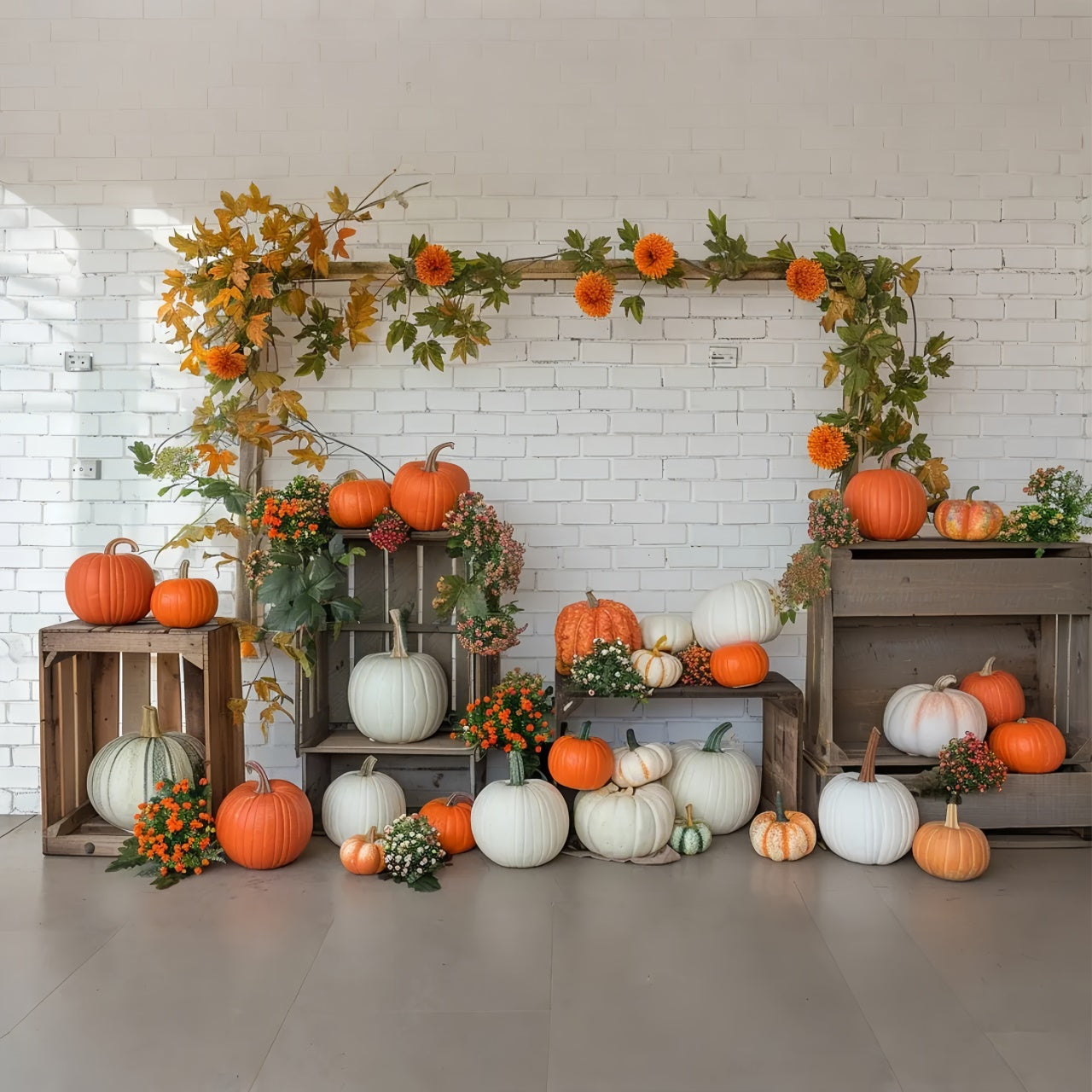 Herbst Kürbis Regal Weiße Wand Fotografie Hintergrund BRP7-141