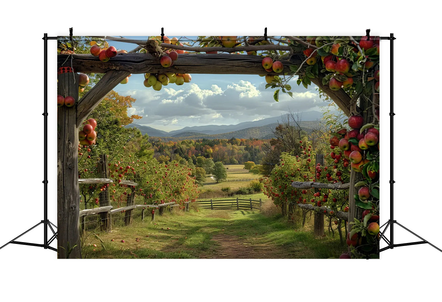 Herbst Apfel Bauernhof Kulisse für Fotografie BRP7-143