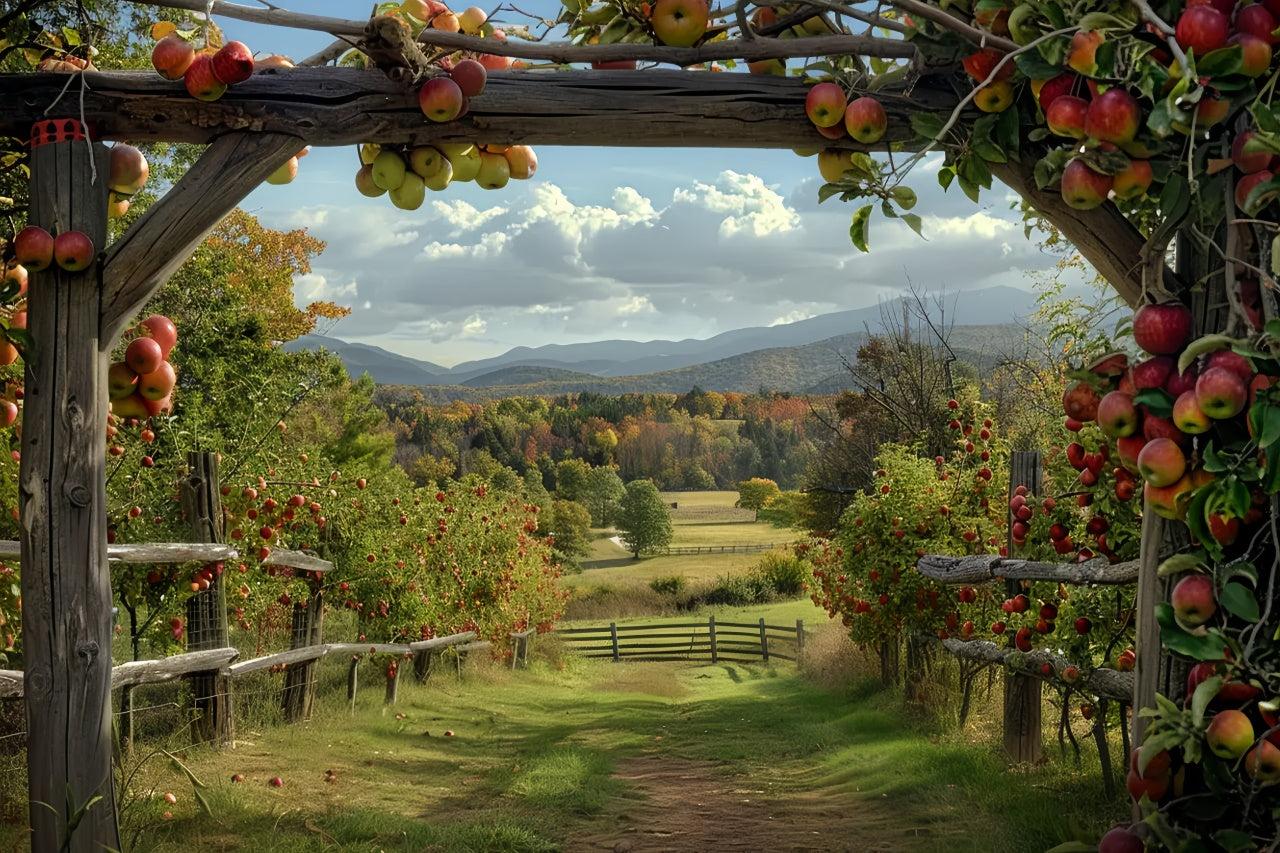 Herbst Apfel Bauernhof Kulisse für Fotografie BRP7-143