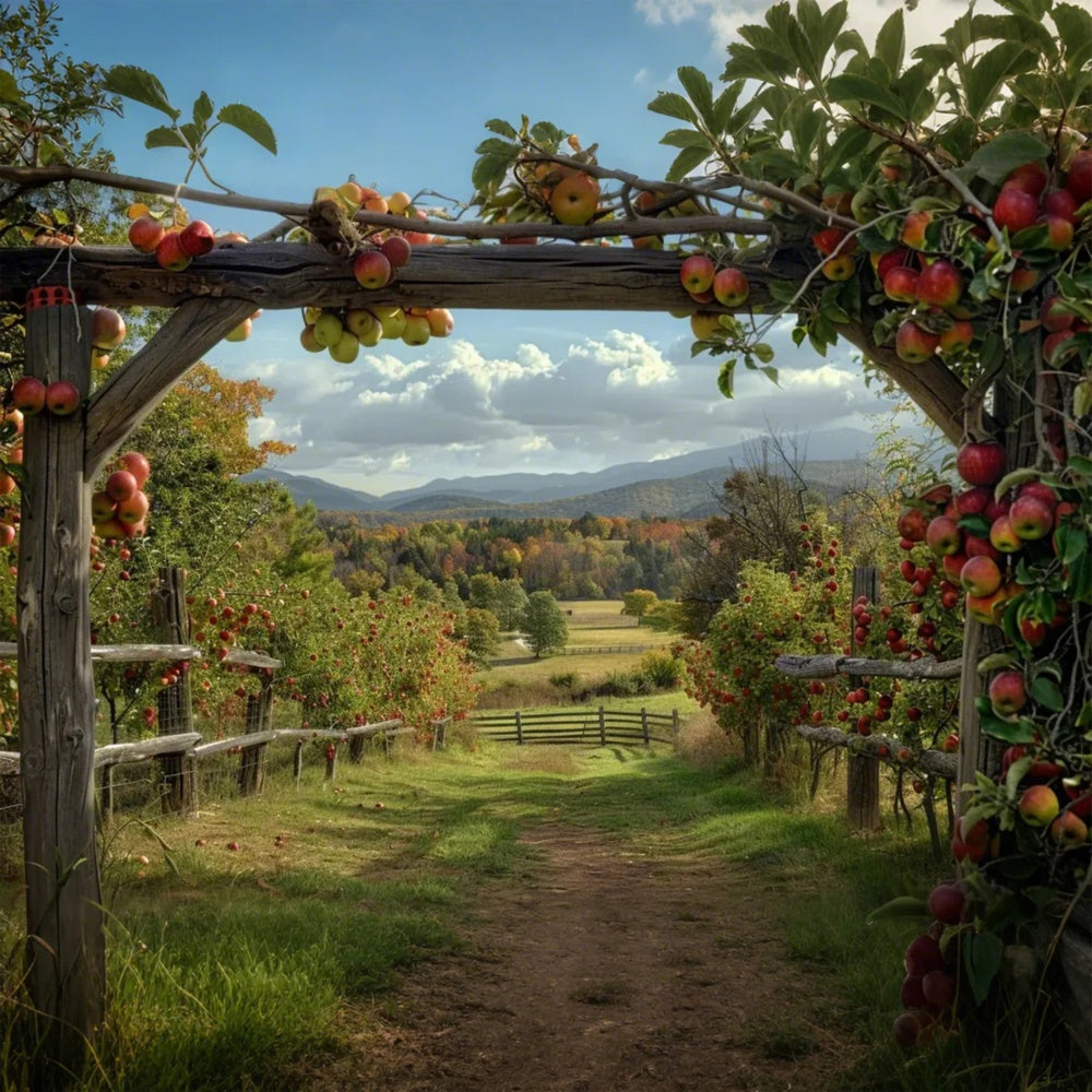 Herbst Apfel Bauernhof Kulisse für Fotografie BRP7-143