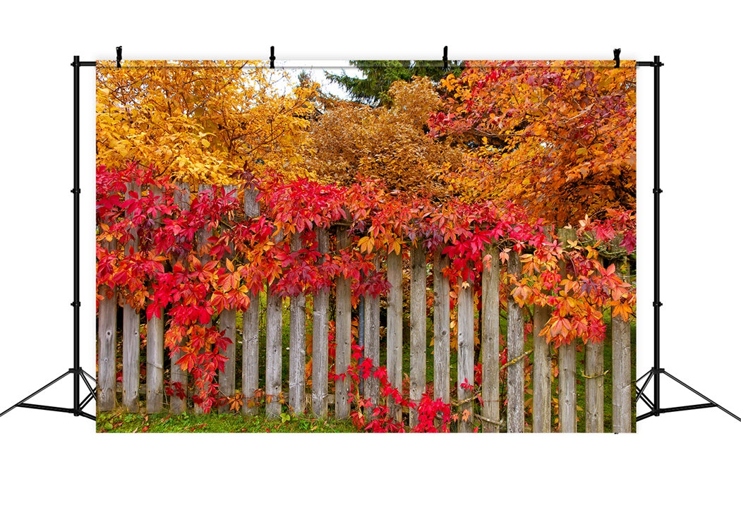 Herbstzaun mit bunten Blättern Hintergrund BRP7-200