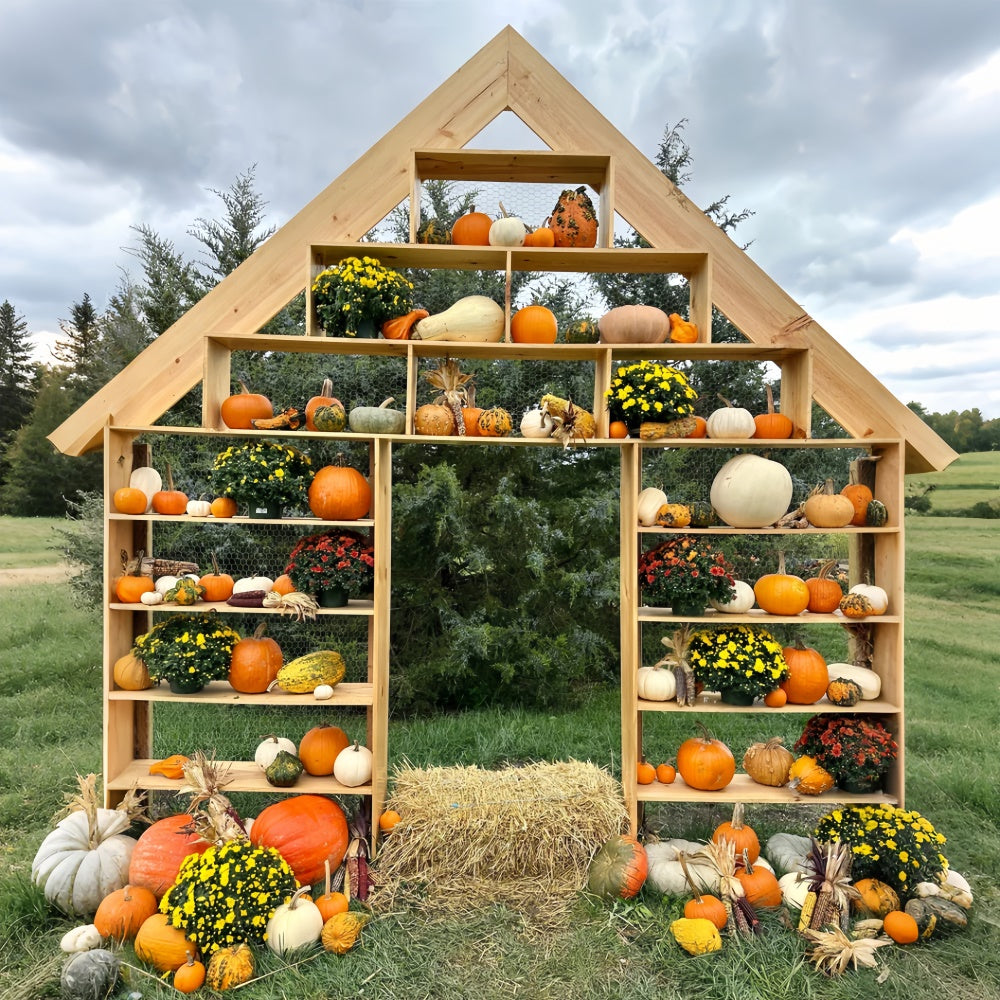 Rustikaler Kürbis Display Herbst Hintergrund für Fotografie BRP7-208