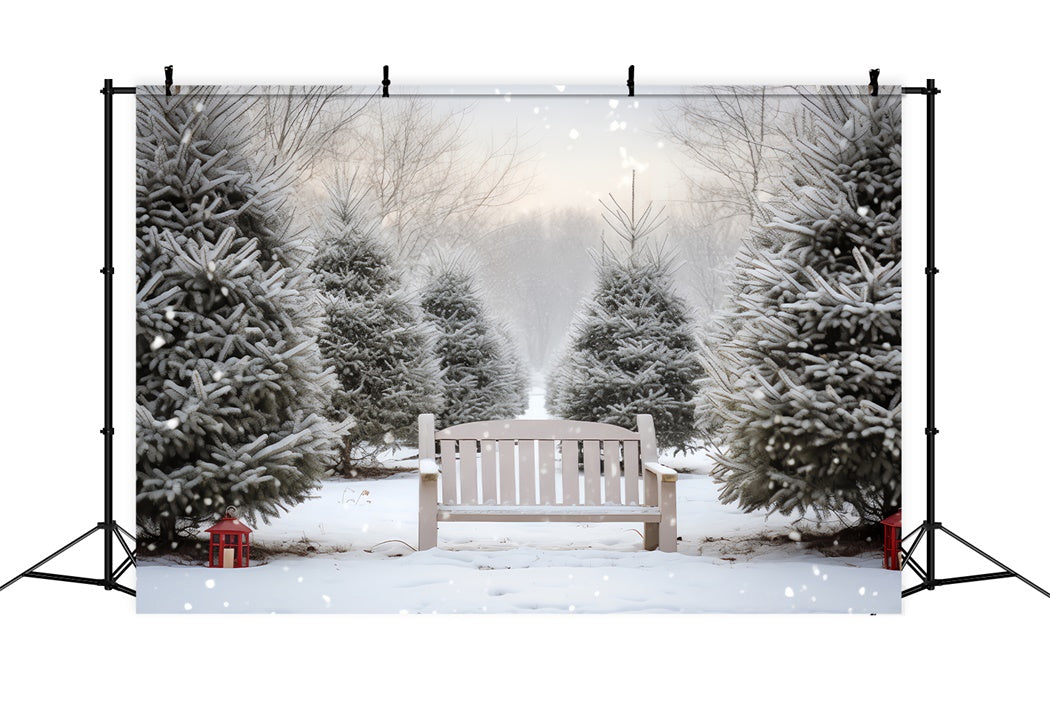 Verschneiter Weihnachtsbaum Hain Bank Hintergrund BRP8-141