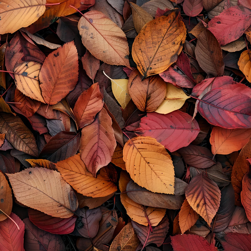 Tiefrote und orangefarbene Blätter Herbst Bodenhintergrund BRP8-286