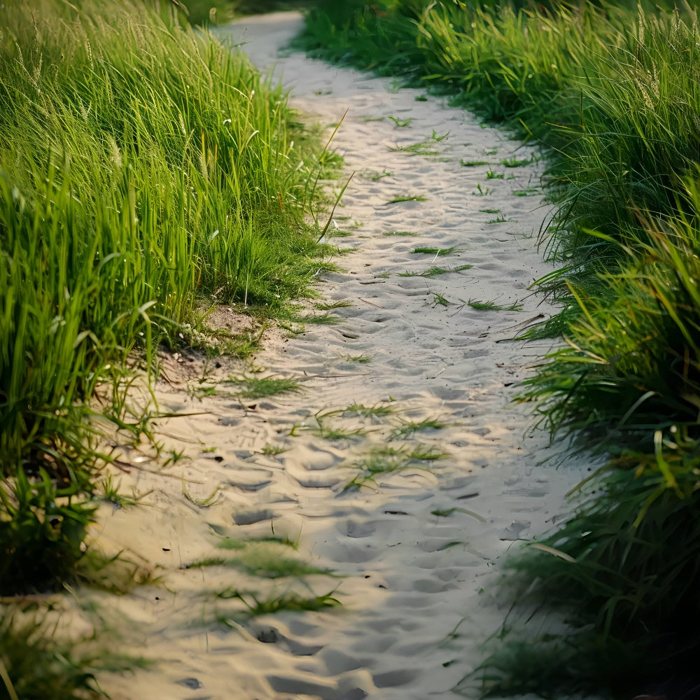 Gras und sandiger Feldweg Bodenhintergrund BRP8-292