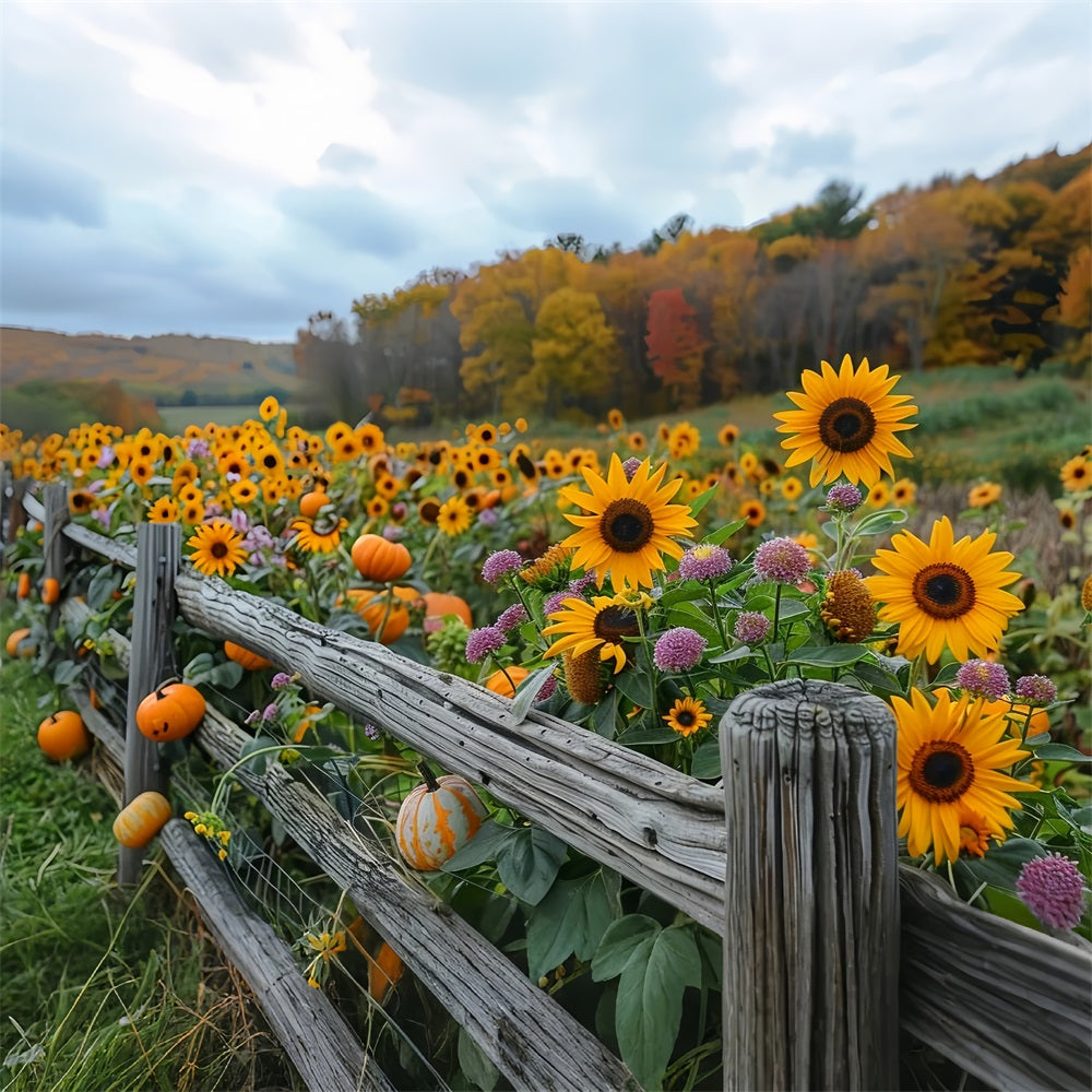 Herbstsonnenblumen Kürbisse Rustikaler Holzzaun Hintergrund BRP9-185