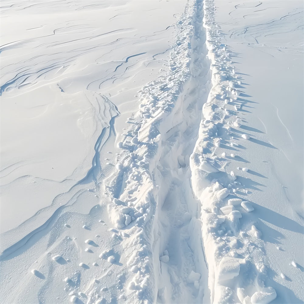 Verschneiter Pfad Winter Fotografie Bodenmatte BRP9-19