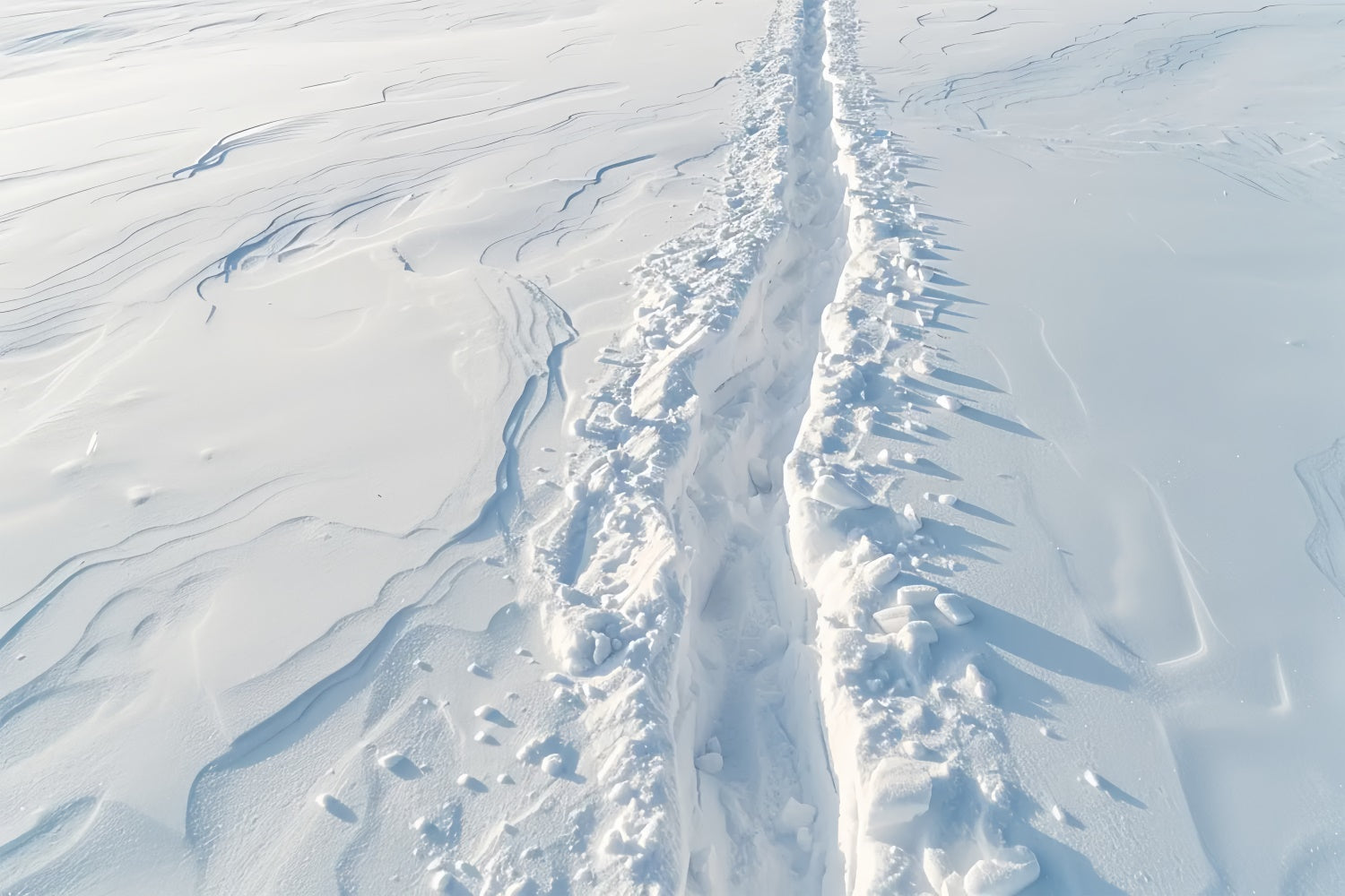 Verschneiter Pfad Winter Fotografie Bodenmatte BRP9-19