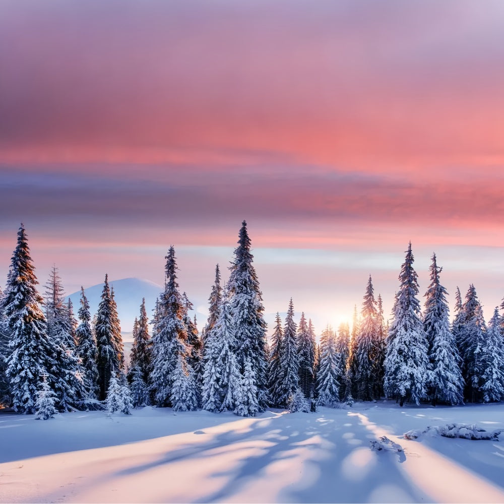 Winterlicher Sonnenaufgang über verschneitem Wald BRP9-226