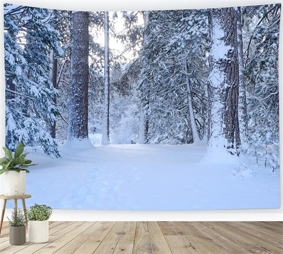 Verschneiter Waldweg durch hohe Kiefern Hintergrund BRP9-227