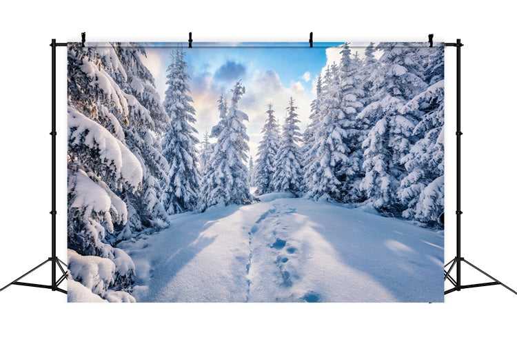 Winter Wald klarer blauer Himmel Fotografie Hintergrund BRP9-228