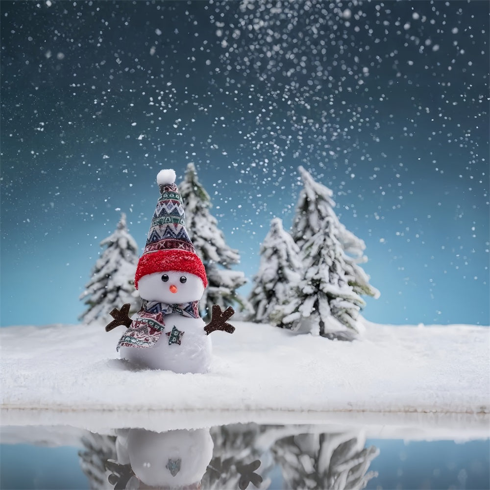 Schneemann Winter Wald Fotografie Hintergrund BRP9-280