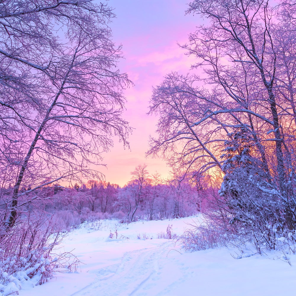 Pastell Winter Sonnenaufgang verschneite Waldszene Hintergrund BRP9-283