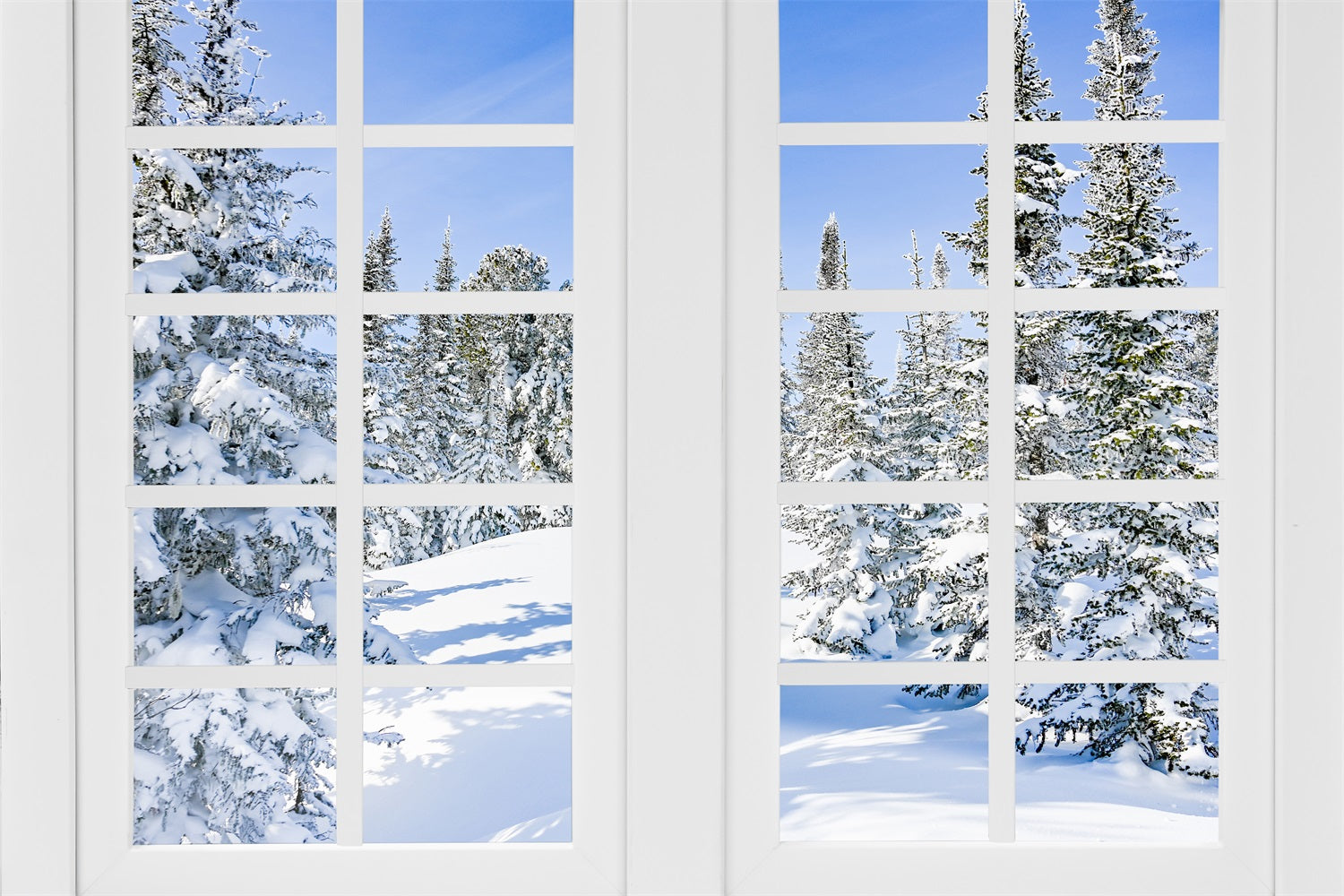 Winterwunderland Verschneite Kiefern Klarer Himmel Hintergrund BRP9-296