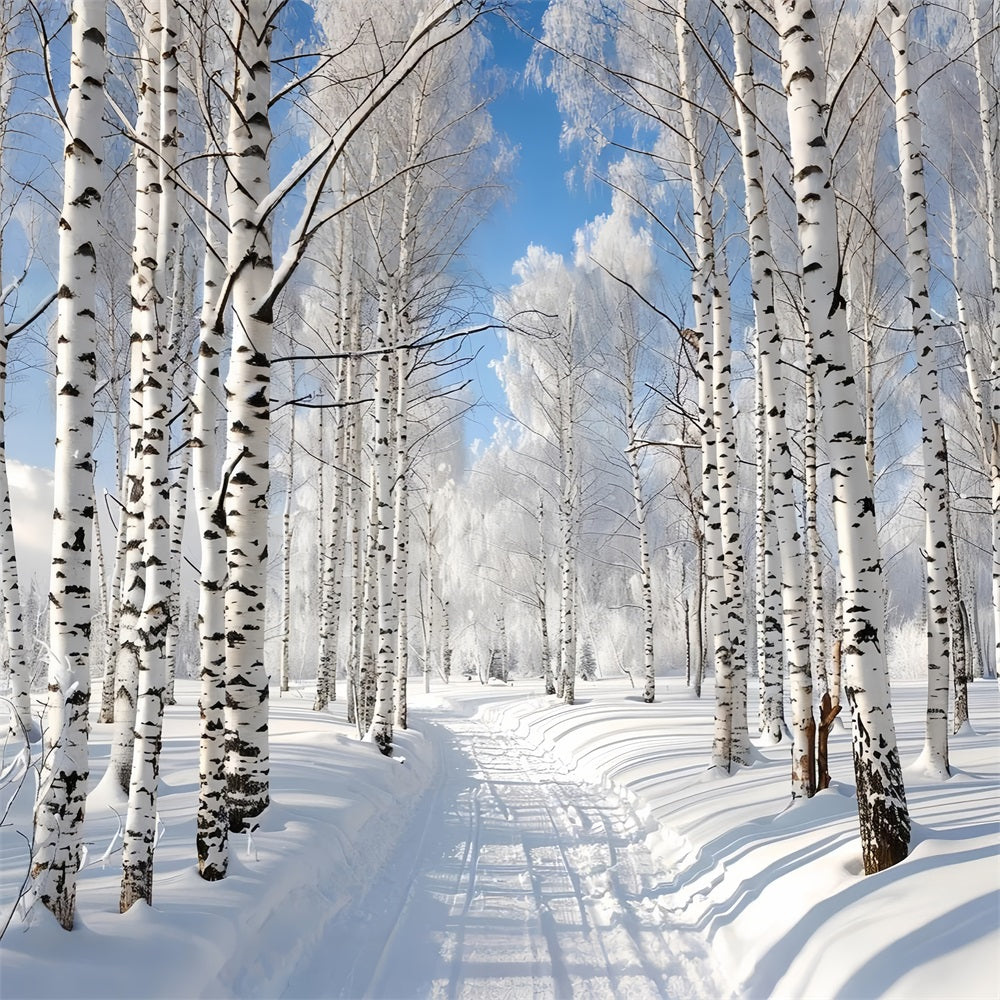 Schneebedeckter Pfad durch den Winterwald Hintergrund BRP9-321