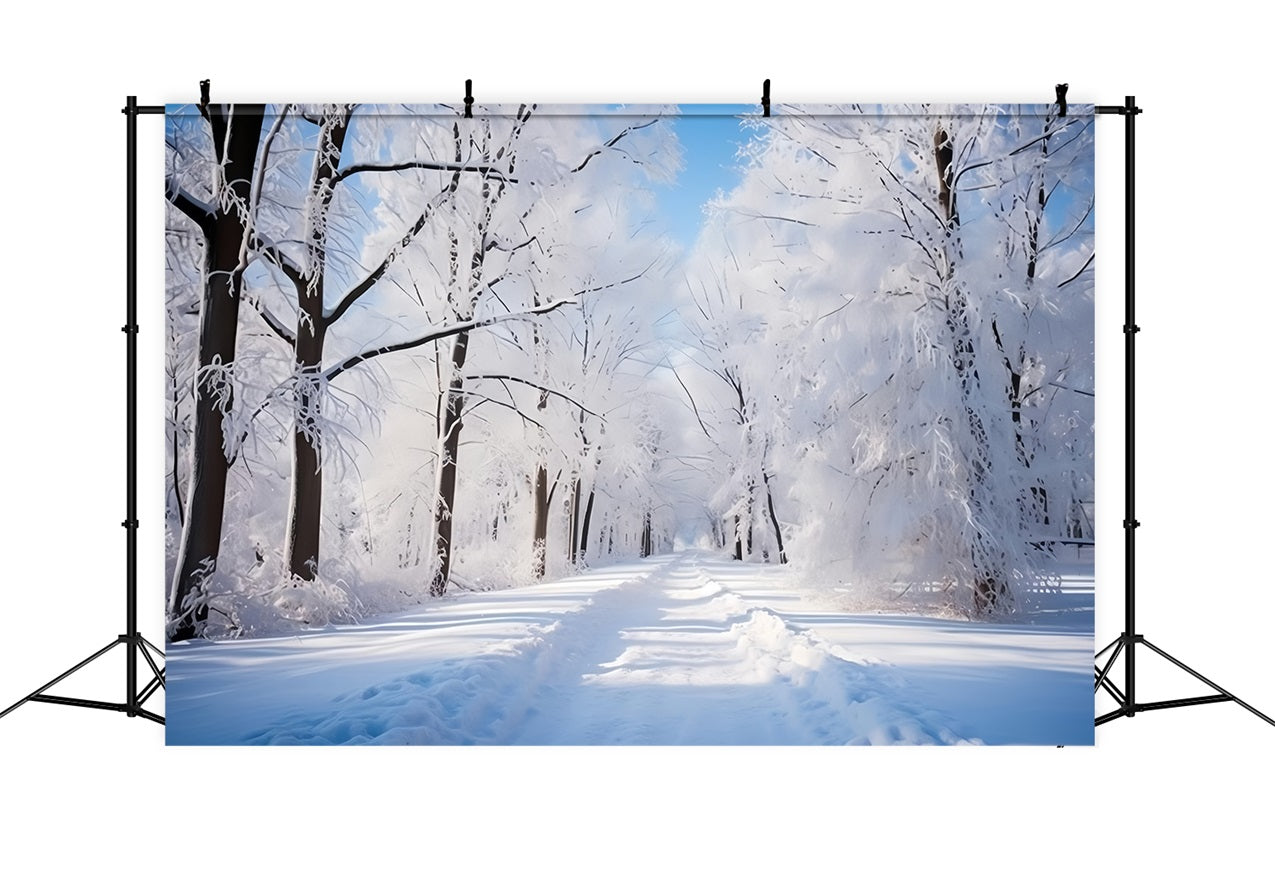 Frostiger Wintertag Waldweg Fotohintergrund BRP9-322