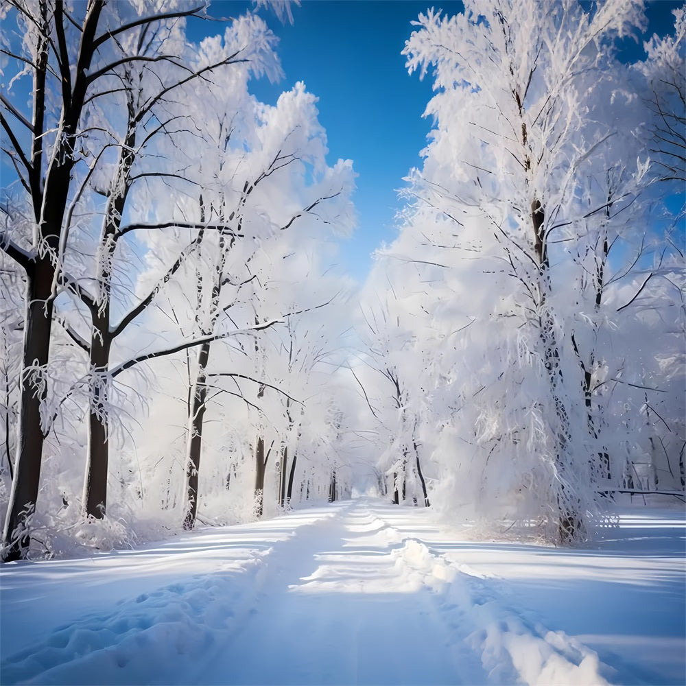 Frostiger Wintertag Waldweg Fotohintergrund BRP9-322