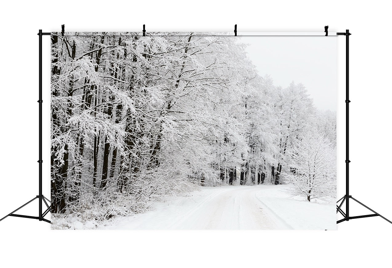 Schneebedeckter Waldweg Winterwunderland Hintergrund BRP9-325