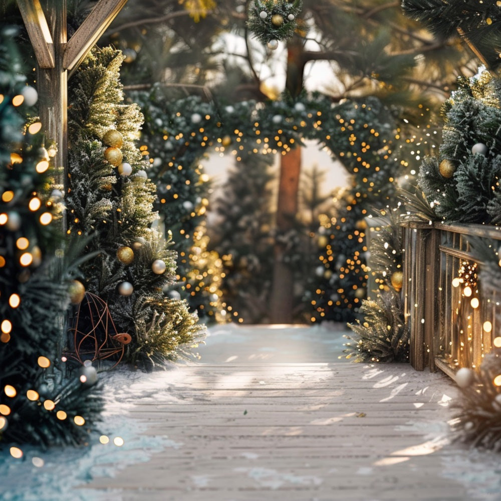 Winter Walkway dekoriert Weihnachtsbeleuchtung Backdrop BRP9-334