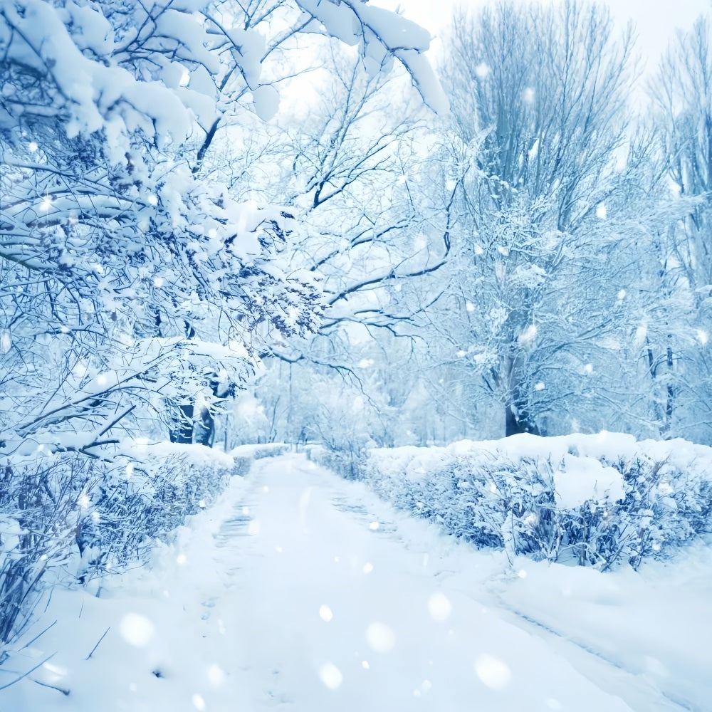 Verschneite Bäume Vereister Wald Winterwunderland Hintergrund BRP9-354