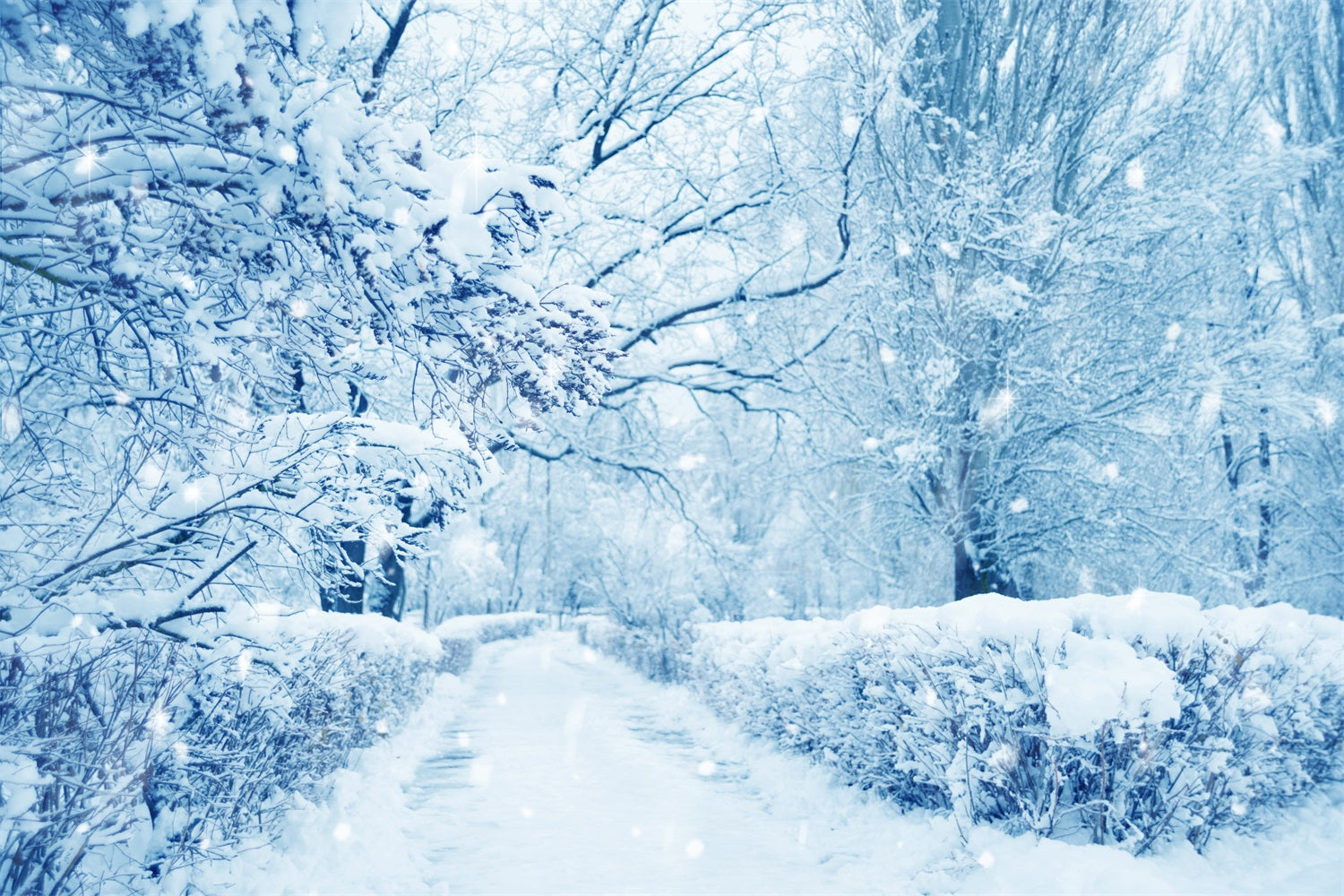 Verschneite Bäume Vereister Wald Winterwunderland Hintergrund BRP9-354