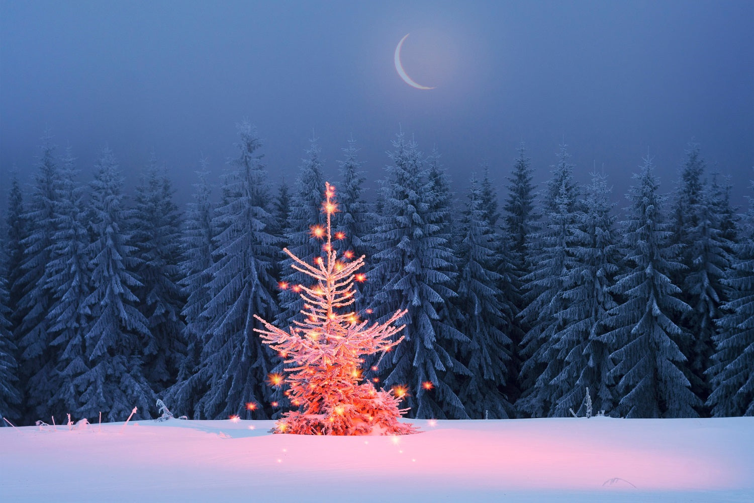 Winter Mondschein funkelnden Weihnachtsbaum Hintergrund BRP9-365