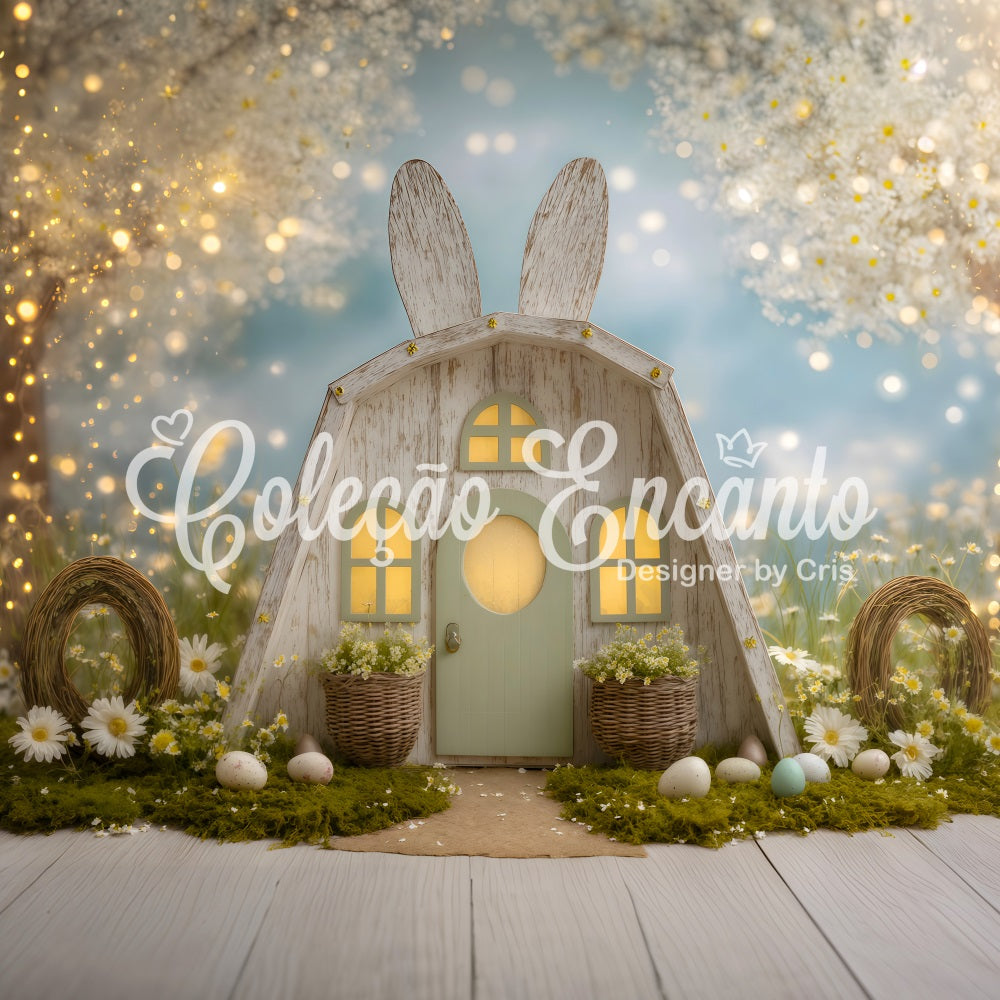 Ostern Gänseblümchen Hintergrund Ohren Tür Zweigkränze Ostern Hintergrund Fotos von Magali