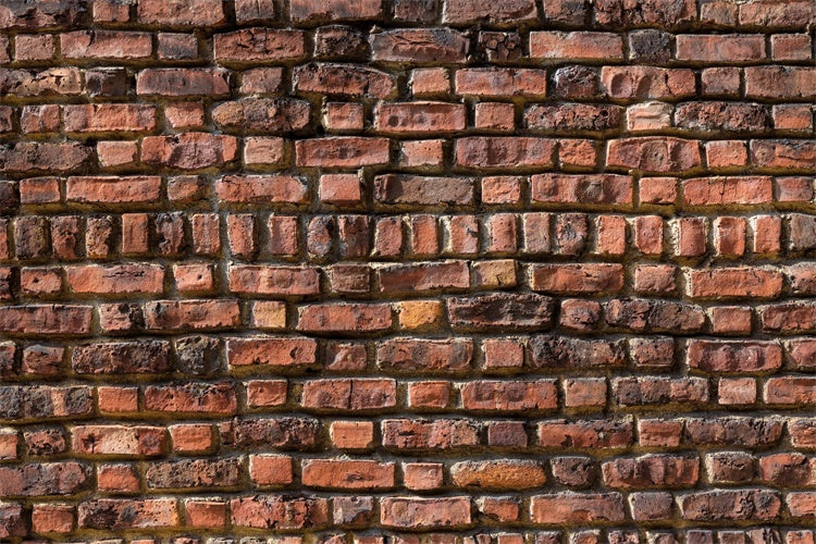 Backsteinmauer Fotohintergrund Heritage Rot Backstein Hintergrund CJJ3-3