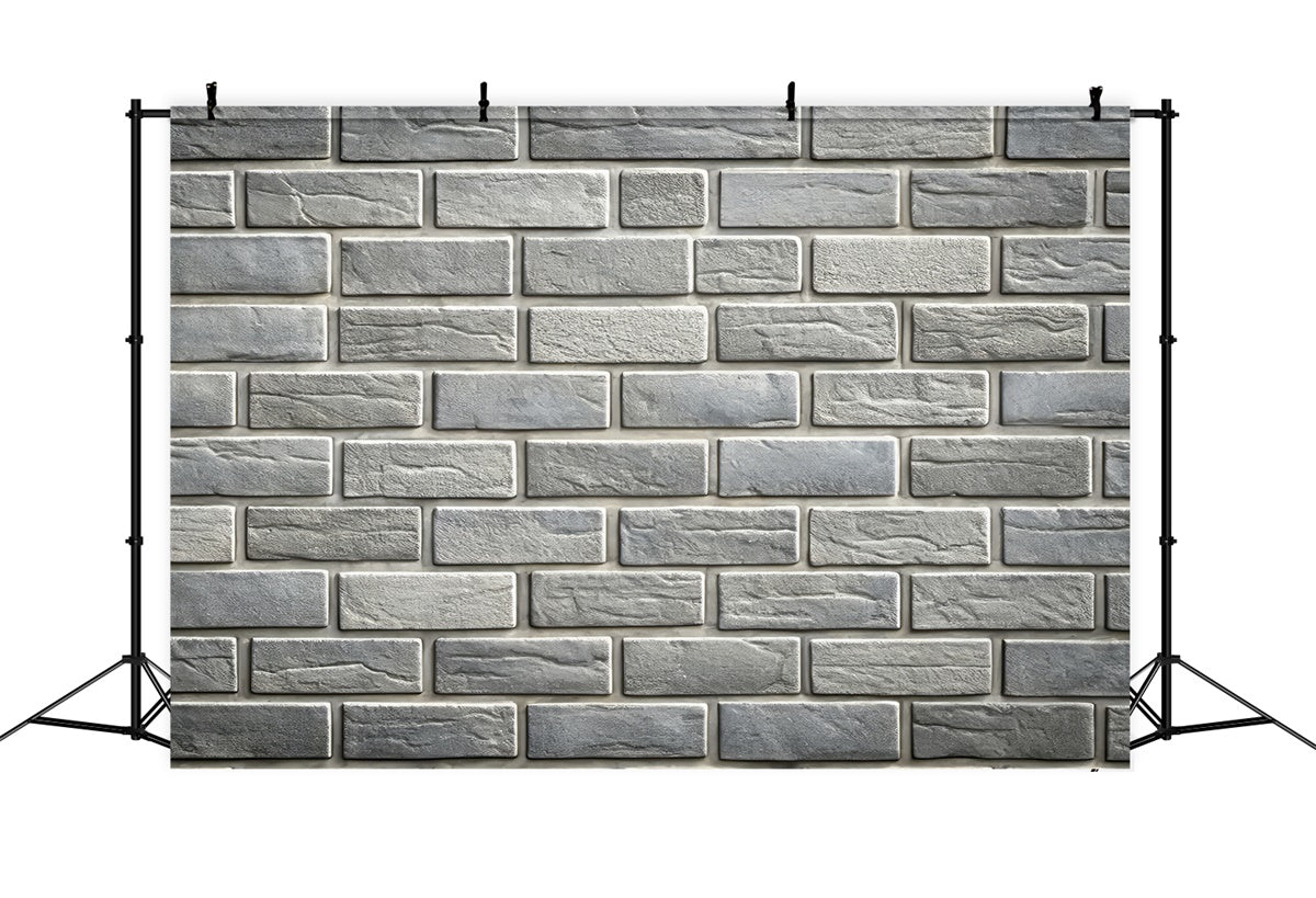 Graue Backsteinmauer Backdrop Texturierter grauer Stein Backdrop CJJ3-41