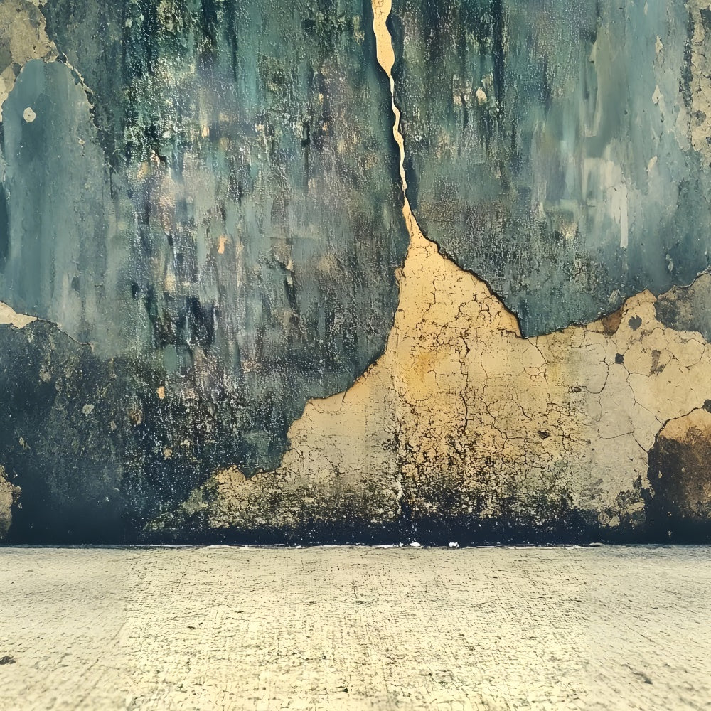 Porträt-Hintergrundbilder Distressed Cracked Texture Wall Backdrop CSH4-190