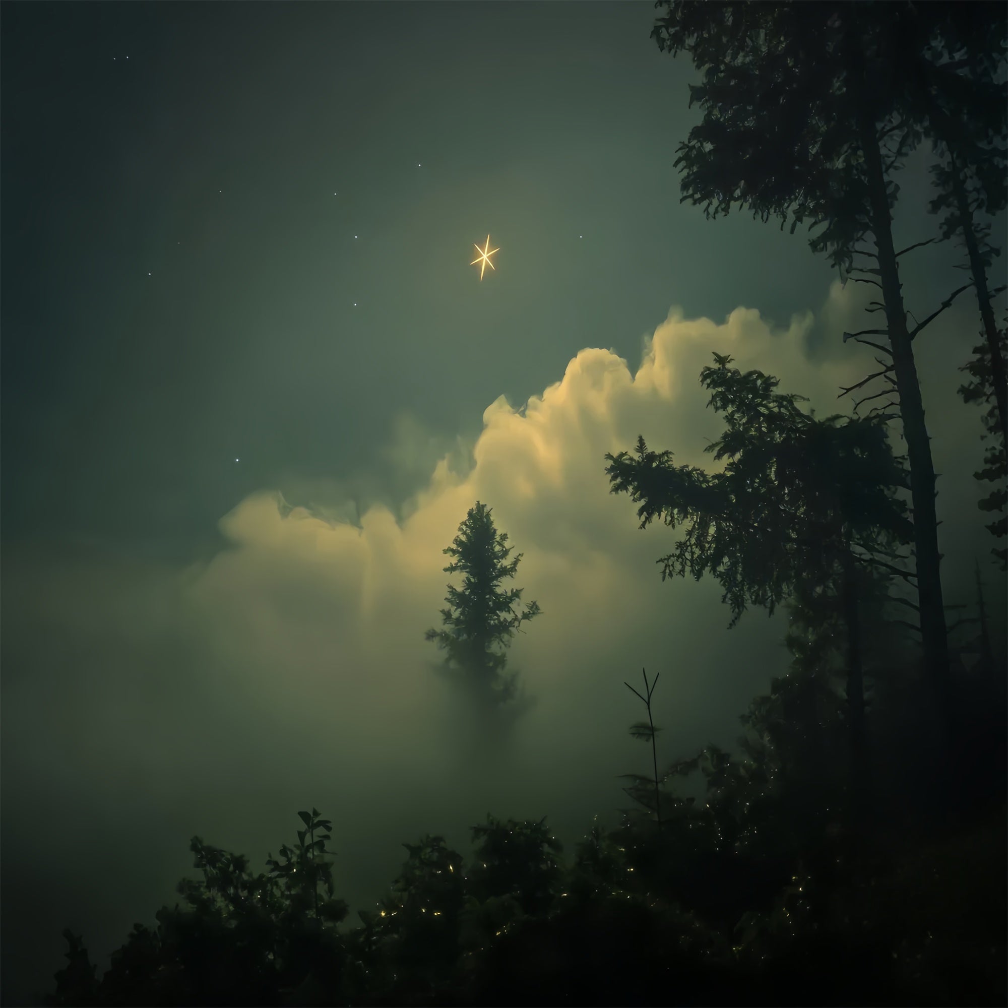 Porträtstudio-Hintergrundkulissen Verträumter Sternenschein Wald-Hintergrund CSH4-193