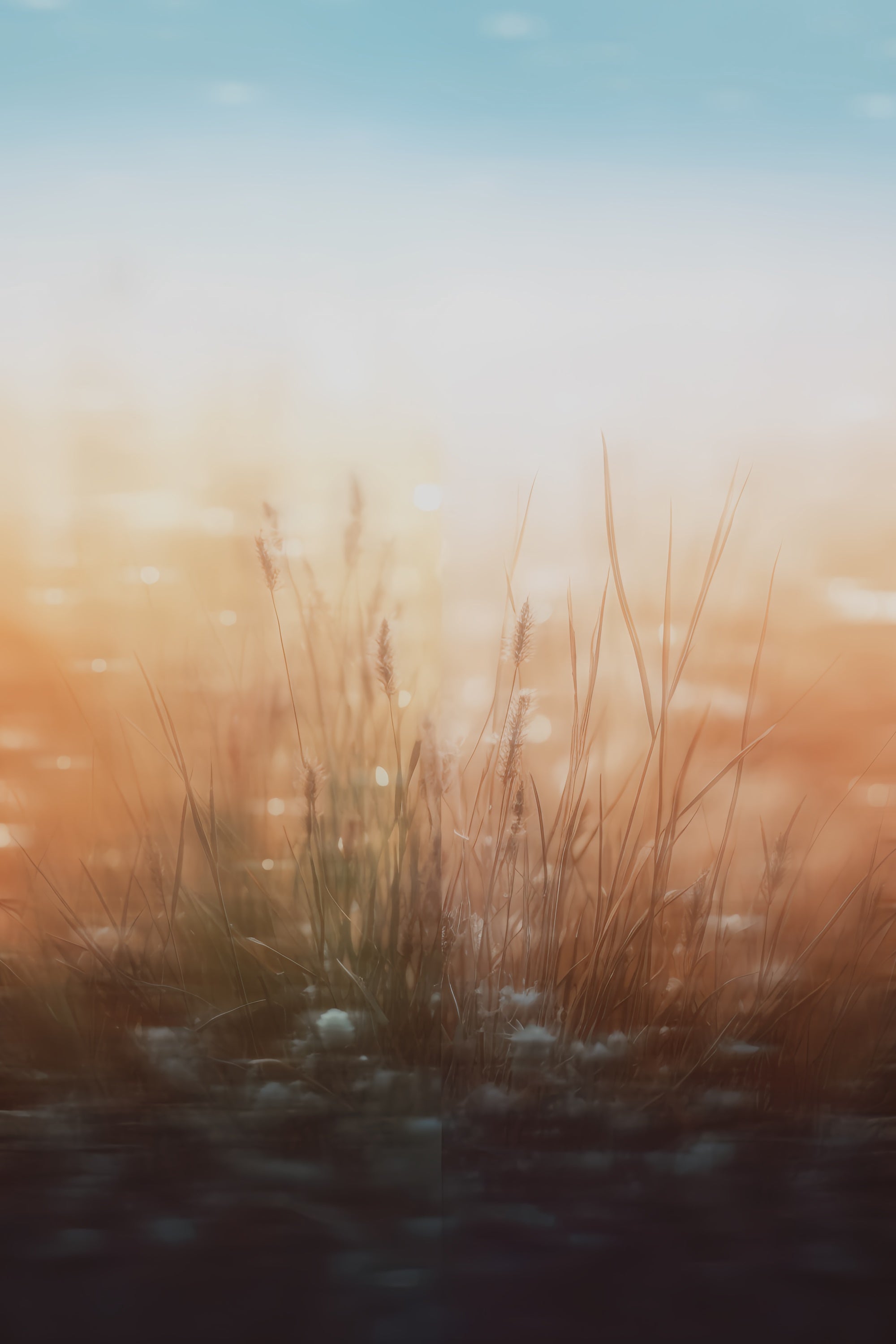 Porträtfotografie Backdrops Weiche Wiese Brise Backdrop CSH4-202