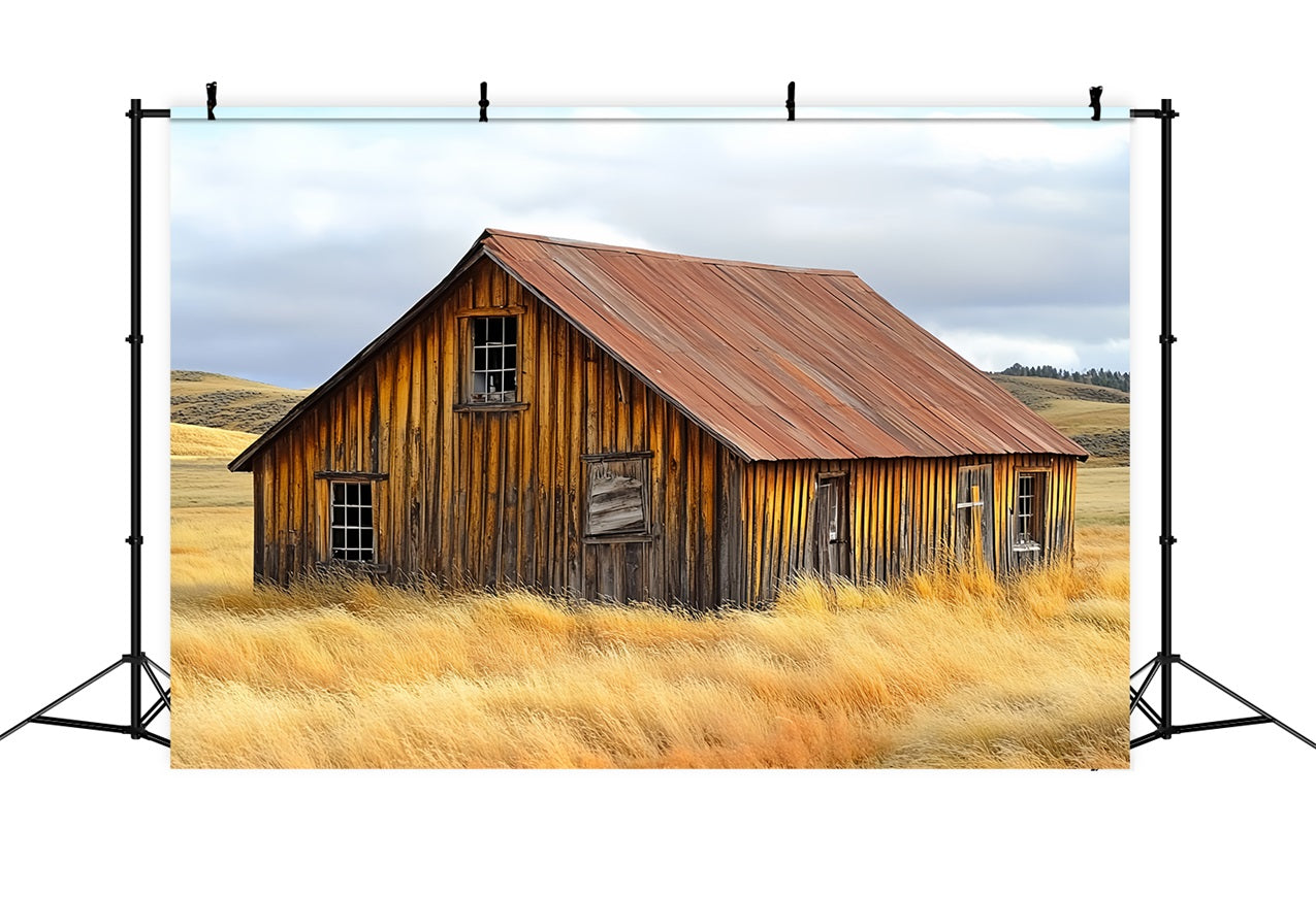 Scheune Backdrops Verwittert Bauernhaus Rustikale Landschaft Hintergrund CSH4-209