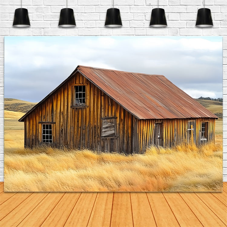 Scheune Backdrops Verwittert Bauernhaus Rustikale Landschaft Hintergrund CSH4-209