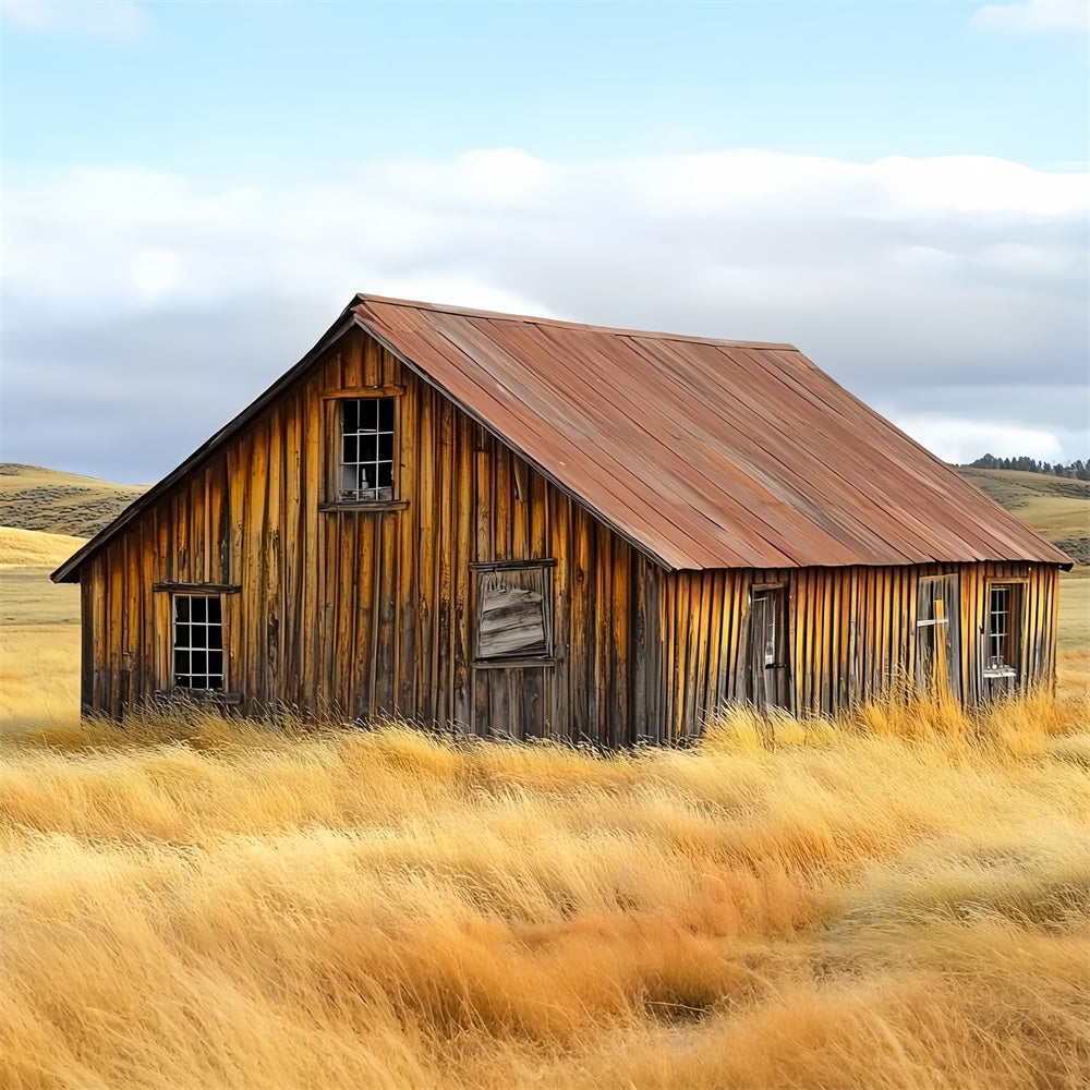 Scheune Backdrops Verwittert Bauernhaus Rustikale Landschaft Hintergrund CSH4-209