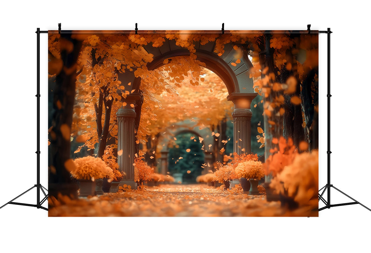 Herbst Wald Backdrop Sonnenuntergang Ahorn Passage Fotohintergrund CSH57-157